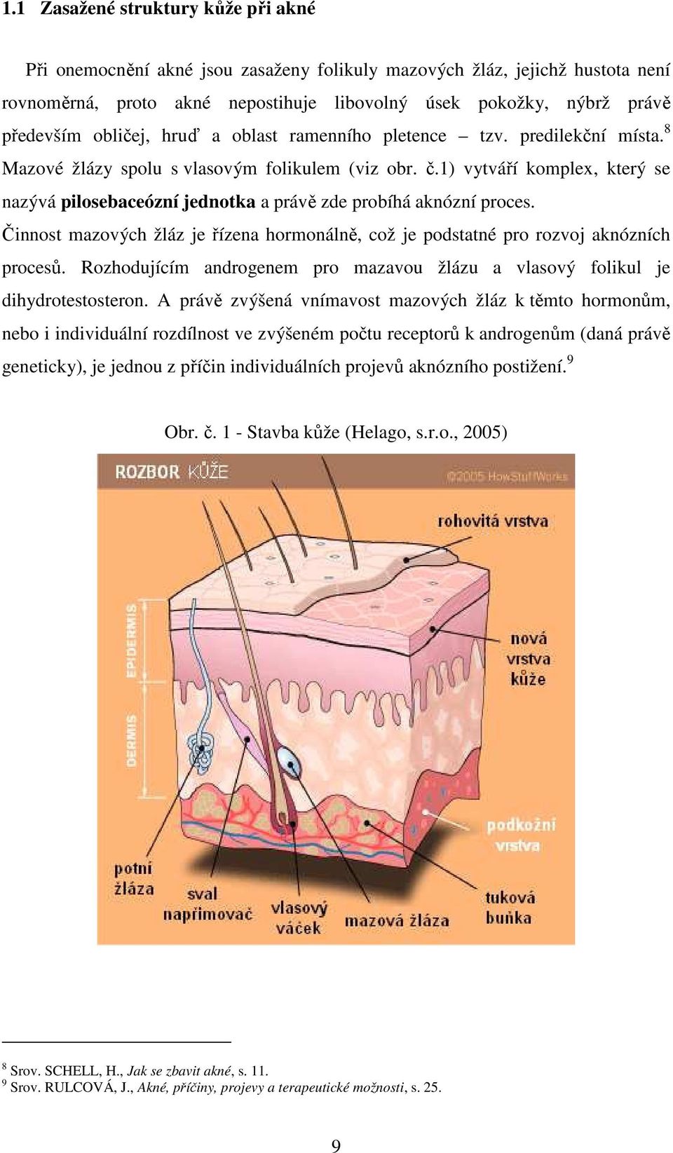 1) vytváří komplex, který se nazývá pilosebaceózní jednotka a právě zde probíhá aknózní proces. Činnost mazových žláz je řízena hormonálně, což je podstatné pro rozvoj aknózních procesů.