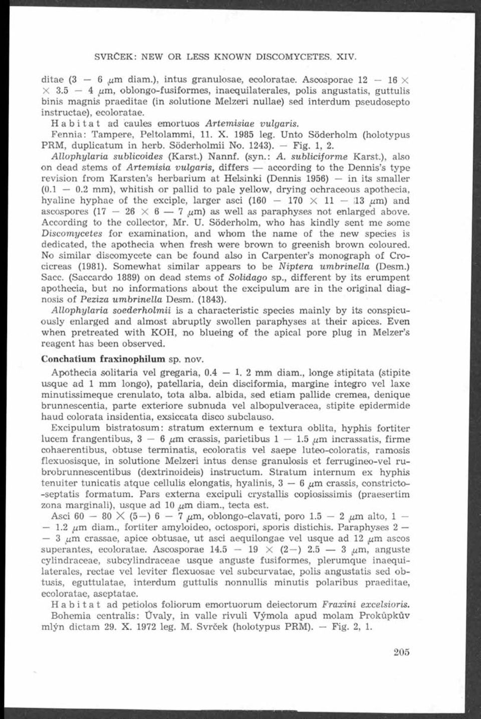 Habitat ad caules emortuos Artem isiae vulgaris. Fennia: Tampere, Peltolammi, 11. X. 1985 leg. Unto Söderholm (holotypus PRM, duplicatum in herb. Söderholm ii No. 1243). Fig. 1, 2.