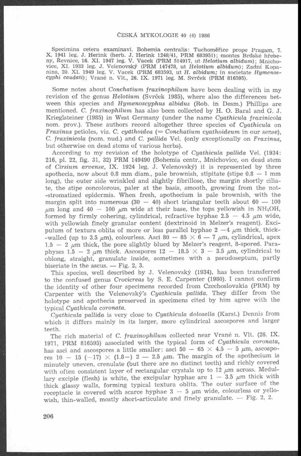 albidum; in societate Hymenoscyphi caudati); Vrané n. Vit., 26. X. 1971 leg. M. Svrček (PRM 816595).
