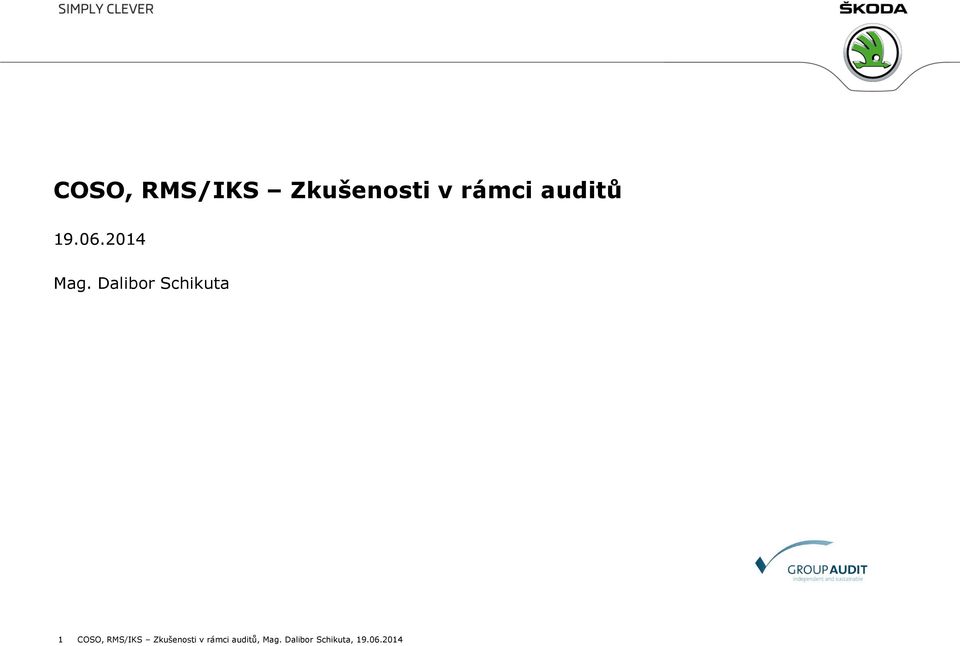 Dalibor Schikuta 1  auditů, Mag.