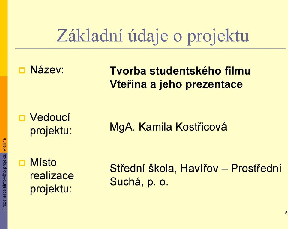 Vedoucí projektu: MgA.