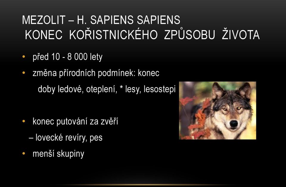 před 10-8 000 lety změna přírodních podmínek: konec