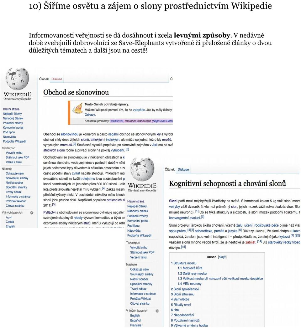 V nedávné době zveřejnili dobrovolníci ze Save-Elephants