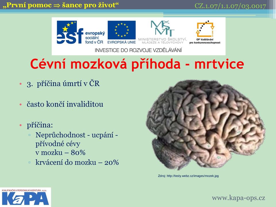 příčina: Neprůchodnost - ucpání - přívodné cévy v