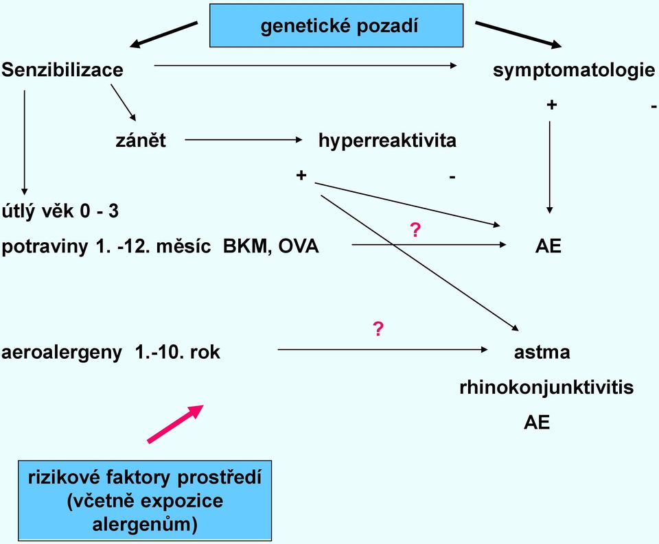 měsíc BKM, OVA symptomatologie + - AE aeroalergeny 1.-10.