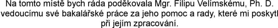 vedoucímu své bakalářské práce za jeho