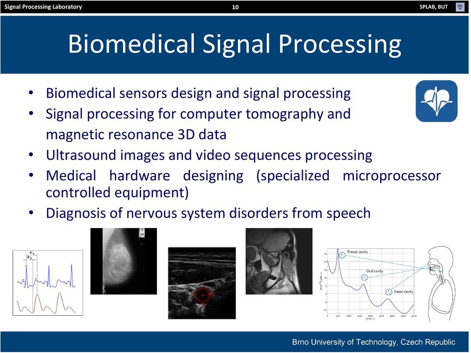 resonance 3D data Ultrasound images and video sequences processing Medical hardware designing