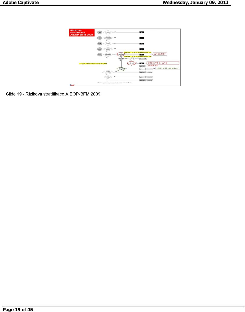 stratifikace