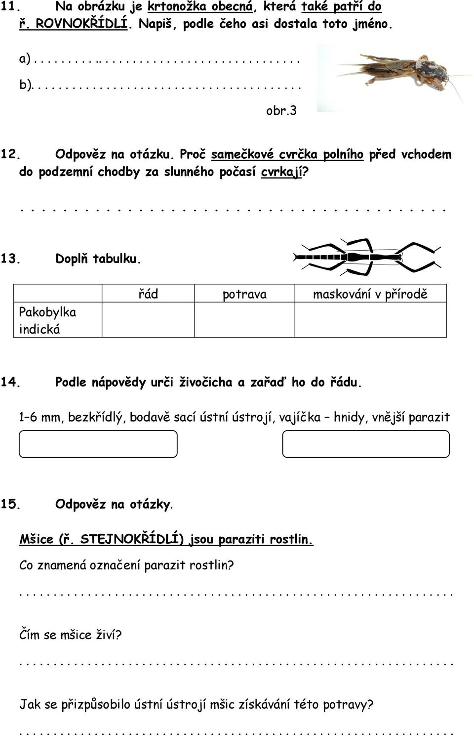 Pakobylka indická řád potrava maskování v přírodě 14. Podle nápovědy urči živočicha a zařaď ho do řádu. 1 6 mm, bezkřídlý, bodavě sací ústní ústrojí, vajíčka hnidy, vnější parazit 15.