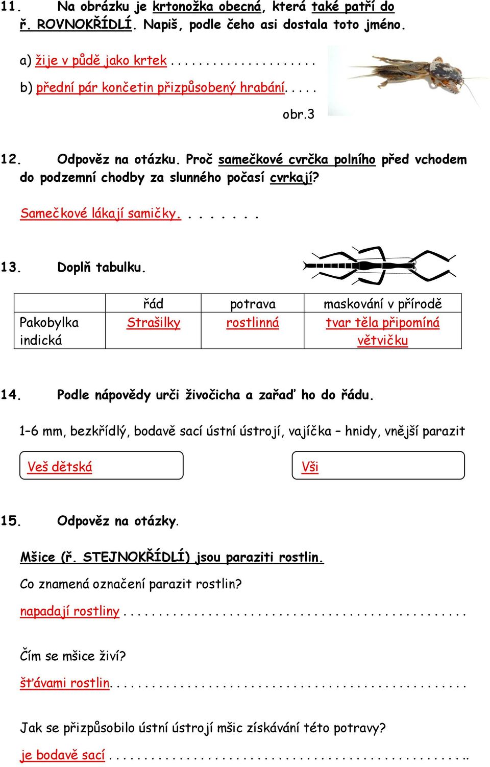 Pakobylka indická řád potrava maskování v přírodě Strašilky rostlinná tvar těla připomíná větvičku 14. Podle nápovědy urči živočicha a zařaď ho do řádu.