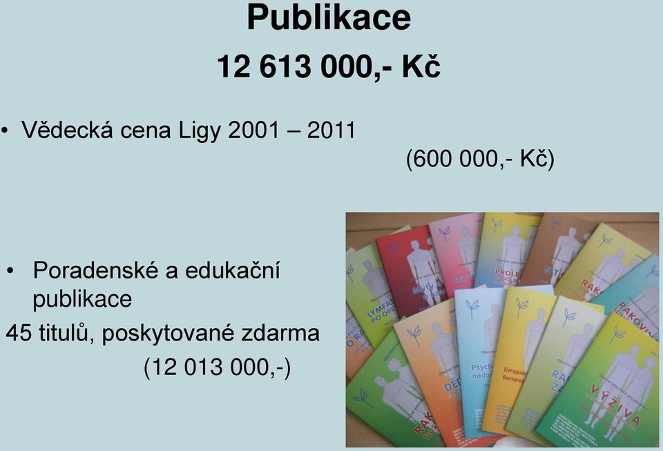 Poradenské a edukační publikace 45