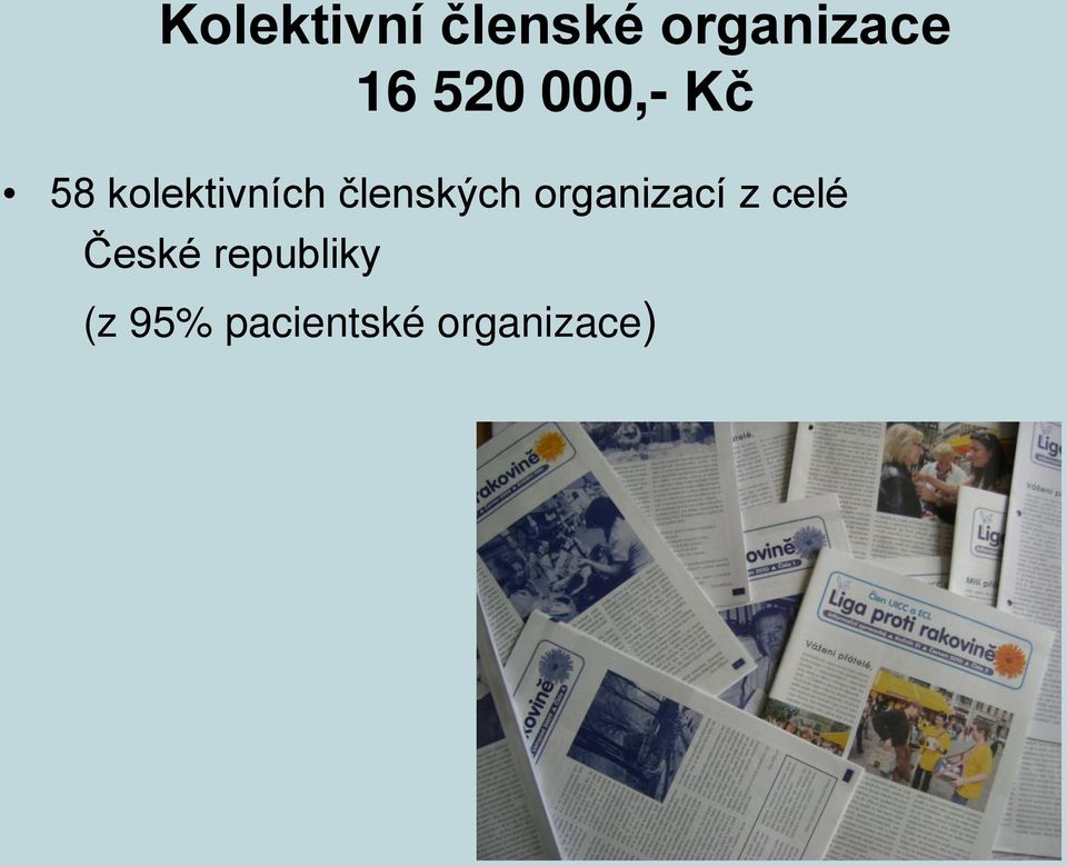 členských organizací z celé České