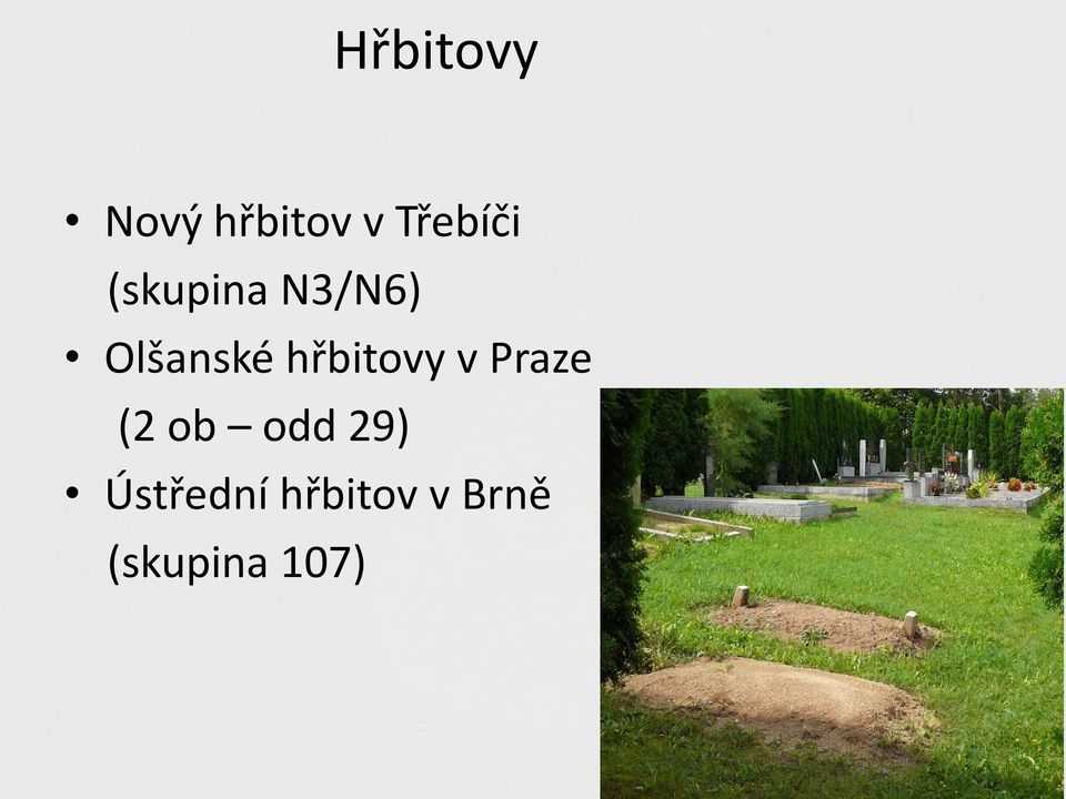 hřbitovy v Praze (2 ob odd 29)