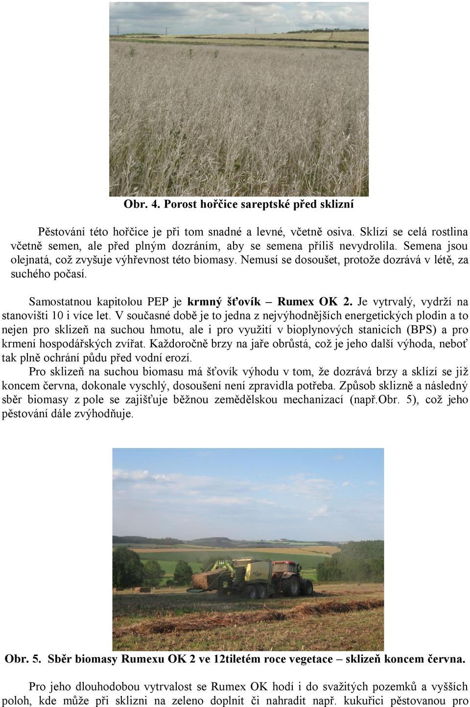 Nemusí se dosoušet, protože dozrává v létě, za suchého počasí. Samostatnou kapitolou PEP je krmný šťovík Rumex OK 2. Je vytrvalý, vydrží na stanovišti 10 i více let.