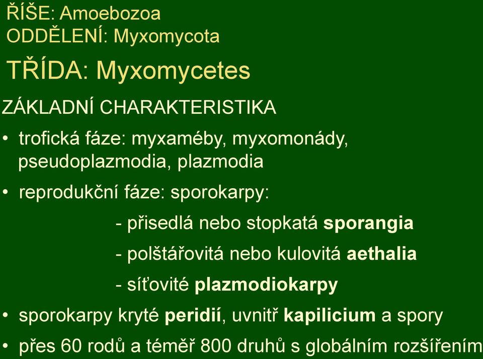 přisedlá nebo stopkatá sporangia - polštářovitá nebo kulovitá aethalia - síťovité