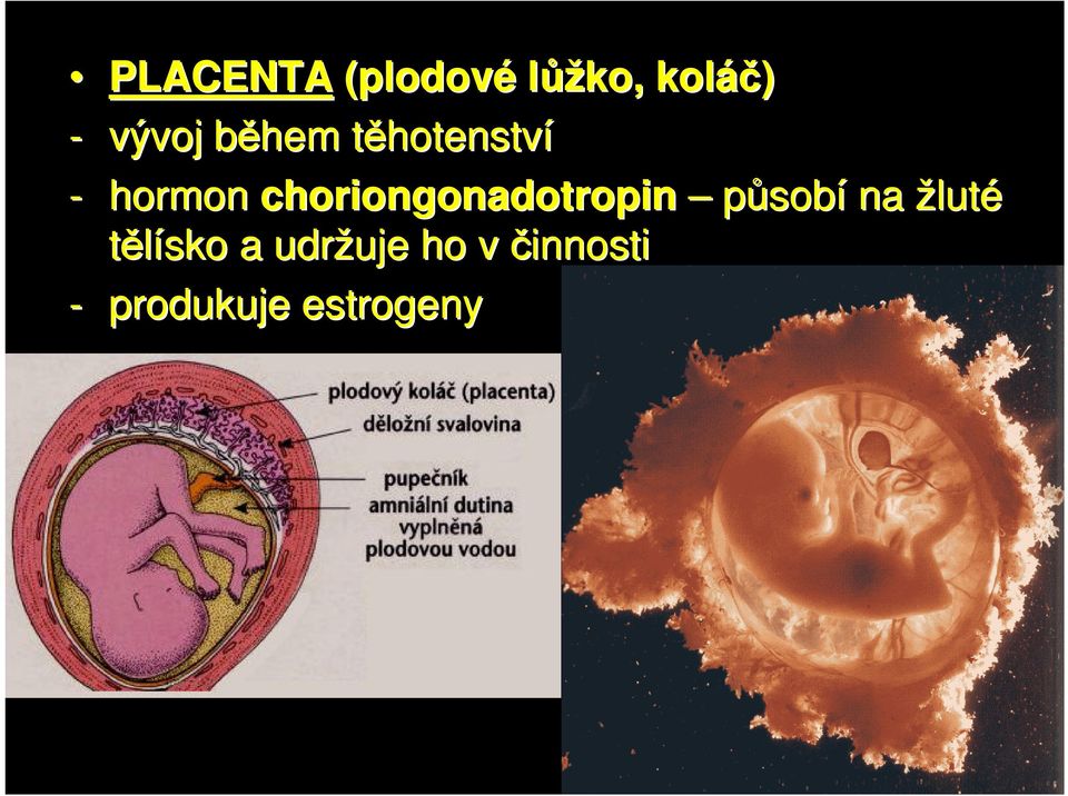 choriongonadotropin působí na žluté