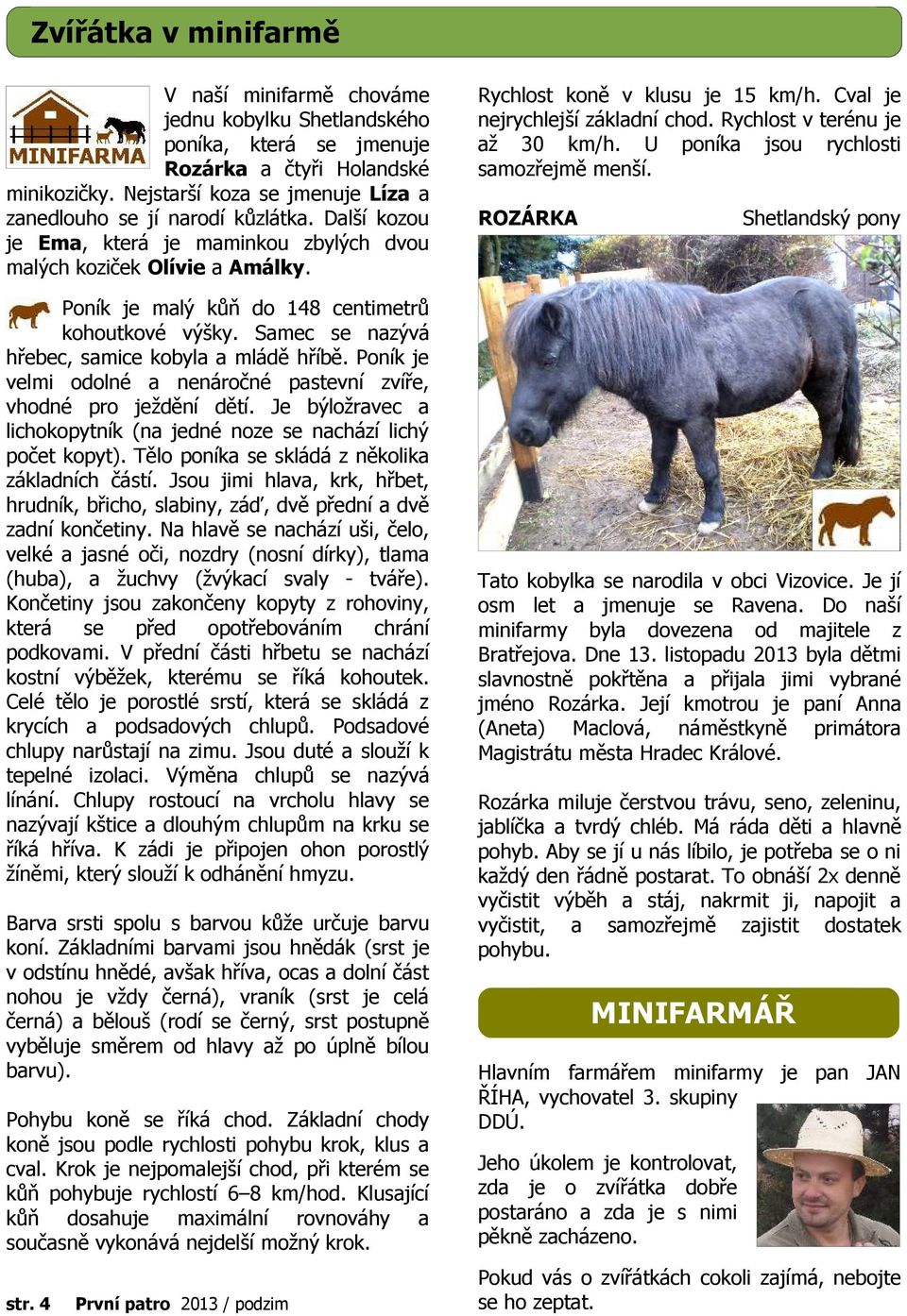 Poník je malý kůň do 148 centimetrů kohoutkové výšky. Samec se nazývá hřebec, samice kobyla a mládě hříbě. Poník je velmi odolné a nenáročné pastevní zvíře, vhodné pro ježdění dětí.