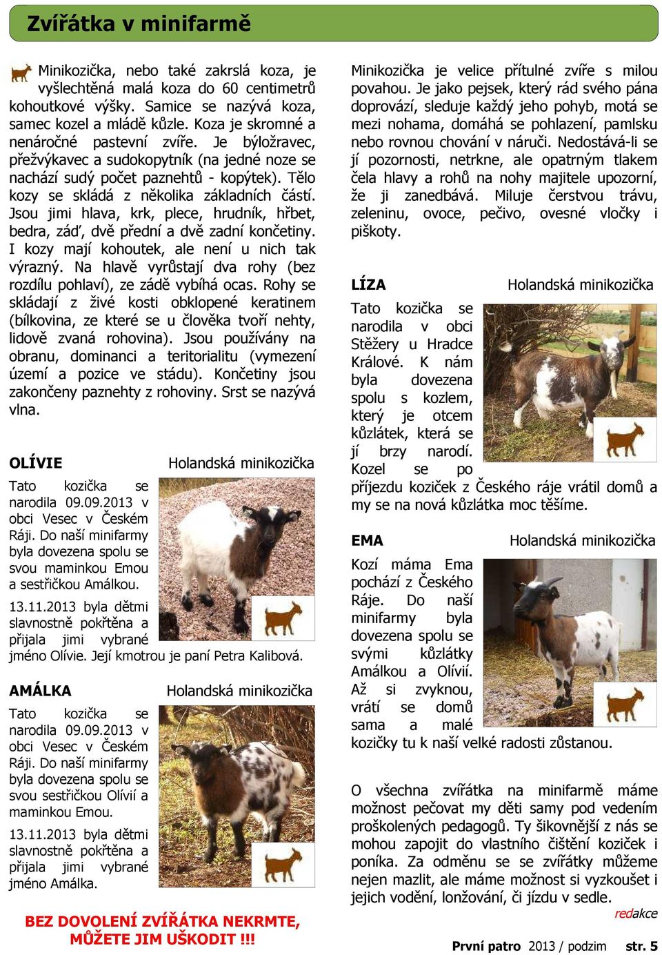 Jsou jimi hlava, krk, plece, hrudník, hřbet, bedra, záď, dvě přední a dvě zadní končetiny. I kozy mají kohoutek, ale není u nich tak výrazný.