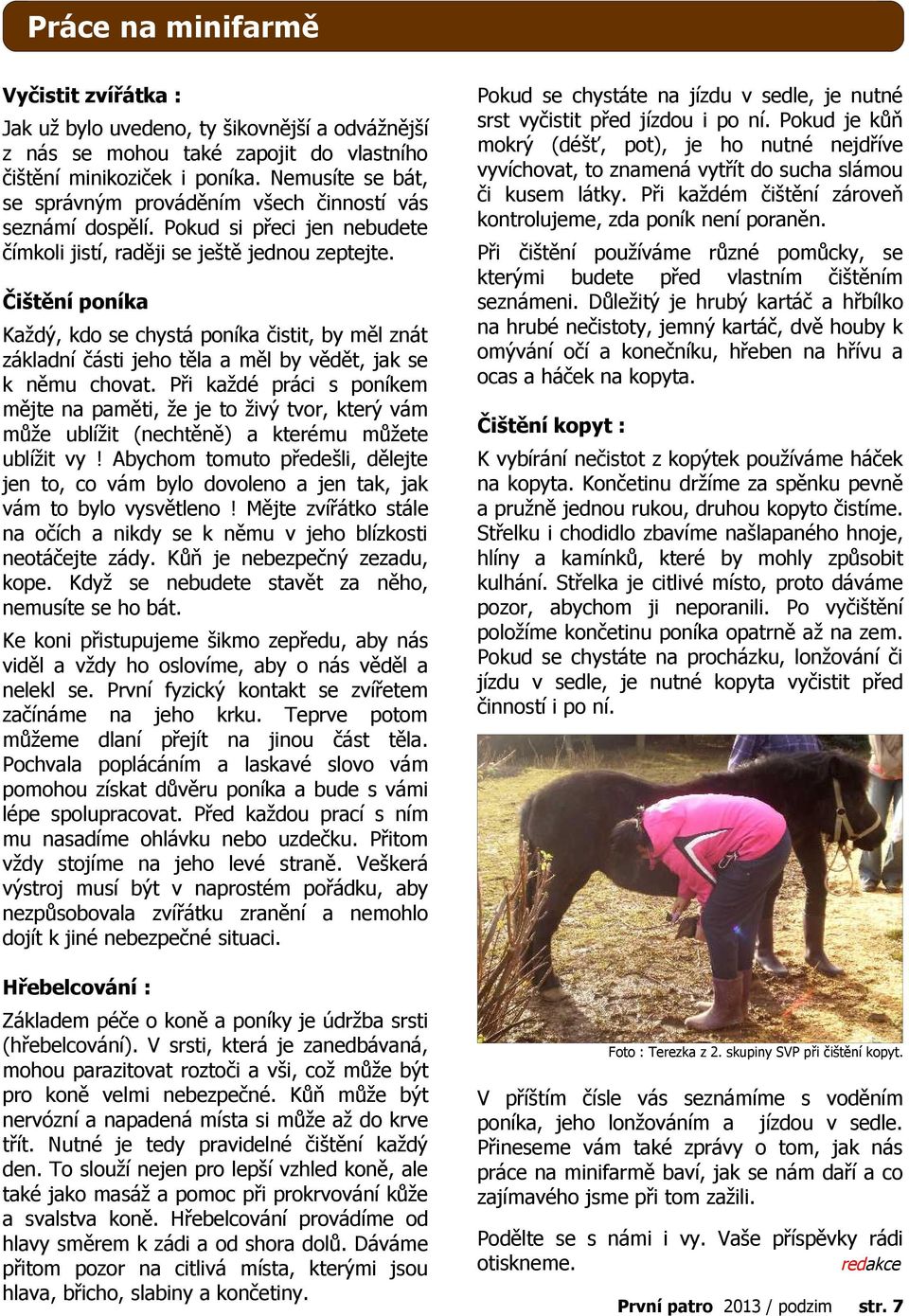 Čištění poníka Každý, kdo se chystá poníka čistit, by měl znát základní části jeho těla a měl by vědět, jak se k němu chovat.