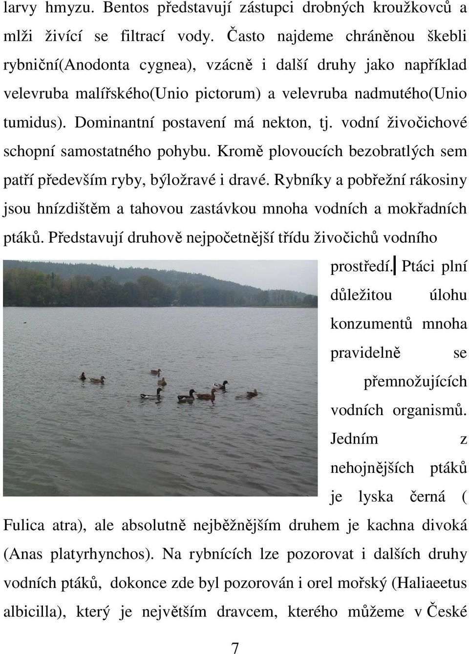 Dominantní postavení má nekton, tj. vodní živočichové schopní samostatného pohybu. Kromě plovoucích bezobratlých sem patří především ryby, býložravé i dravé.