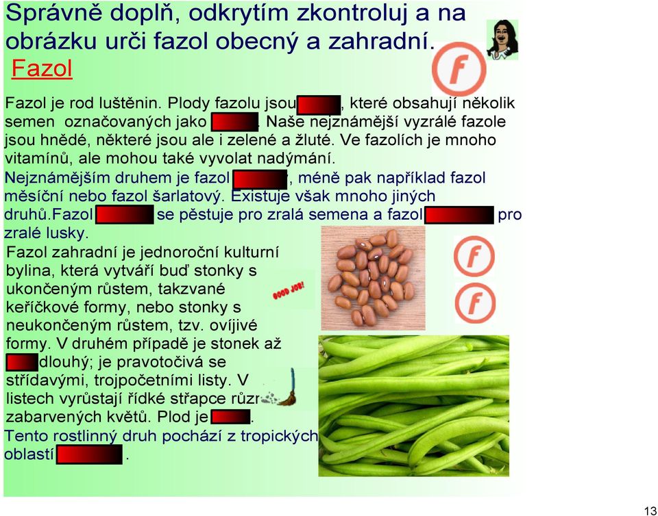 Nejznámějším druhem je fazol obecný, méně pak například fazol měsíční nebo fazol šarlatový. Existuje však mnoho jiných druhů.fazol obecný se pěstuje pro zralá semena a fazol zahradní pro zralé lusky.