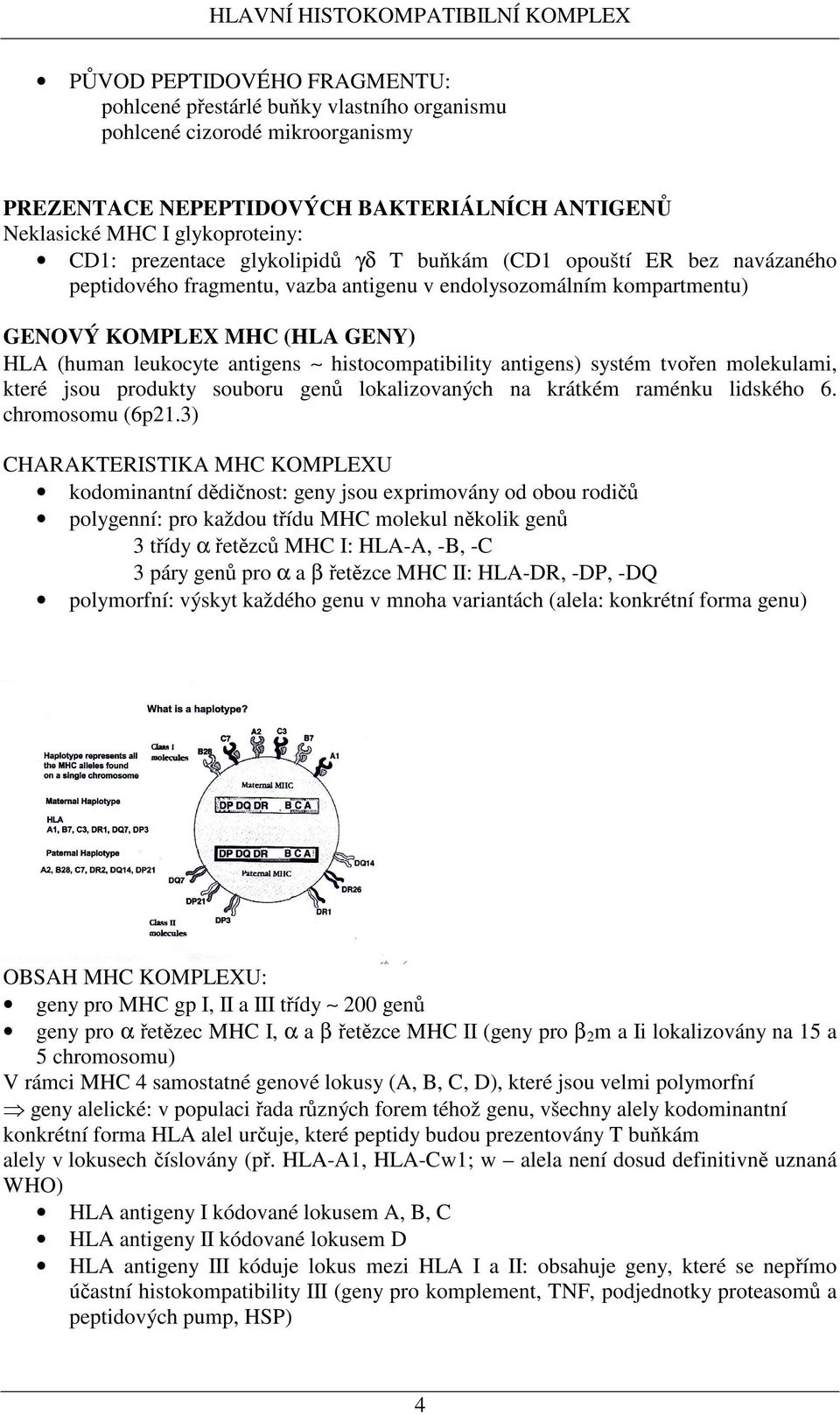 histocompatibility antigens) systém tvoen molekulami, které jsou produkty souboru gen lokalizovaných na krátkém raménku lidského 6. chromosomu (6p21.