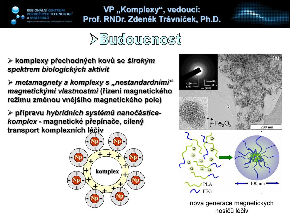 komplexy přechodných kovů se širokým spektrem biologických aktivit metamagnety a komplexy s nestandardními magnetickými
