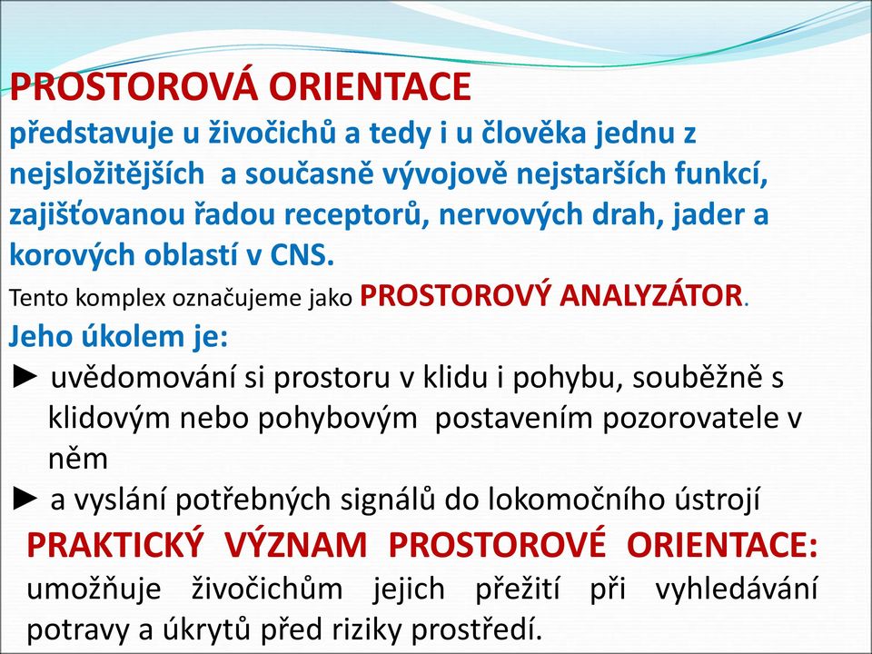Jeho úkolem je: uvědomování si prostoru v klidu i pohybu, souběžně s klidovým nebo pohybovým postavením pozorovatele v něm a vyslání