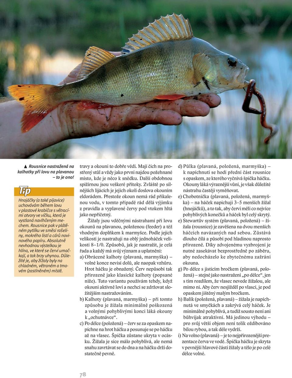 Důležité je, aby žížaly byly na chladném, větraném a tmavém (zastíněném) místě. travy a okouni to dobře vědí.