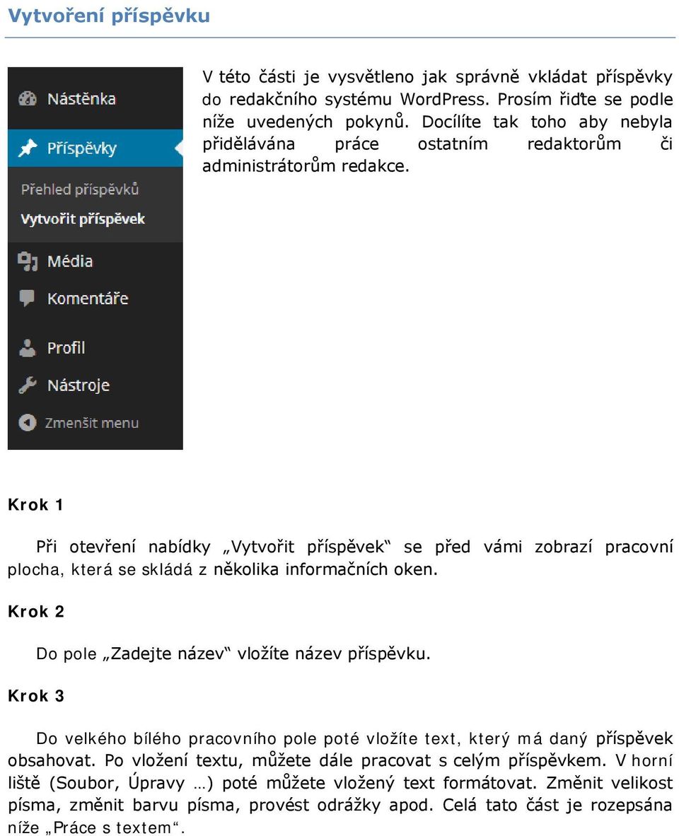 Krok 1 Při otevření nabídky Vytvořit příspěvek se před vámi zobrazí pracovní plocha, která se skládá z několika informačních oken. Krok 2 Do pole Zadejte název vložíte název příspěvku.