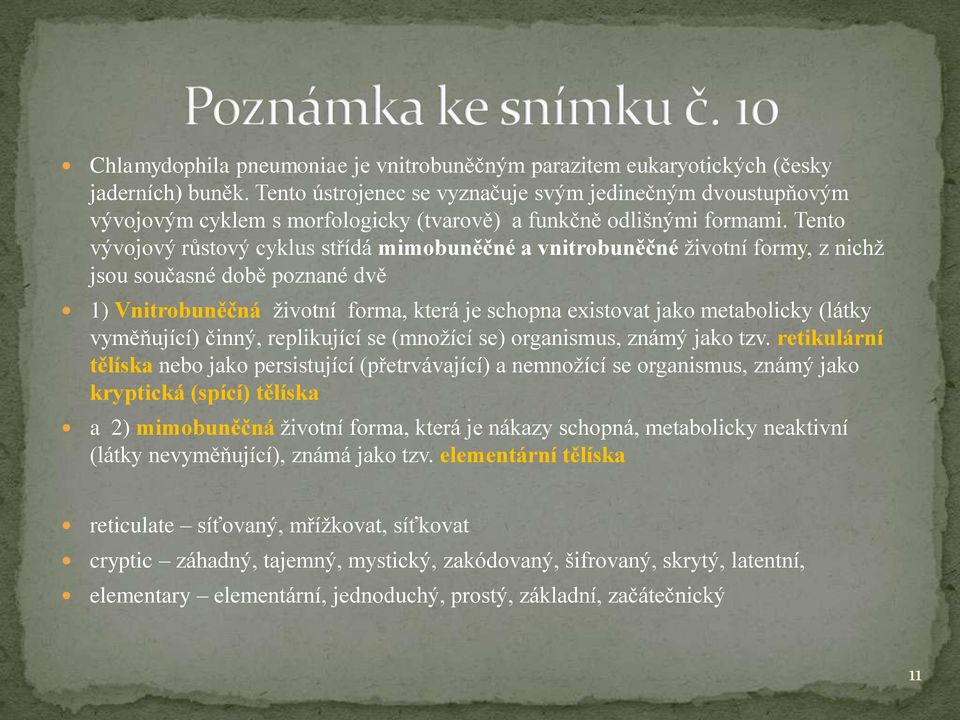 Tento vývojový růstový cyklus střídá mimobuněčné a vnitrobuněčné životní formy, z nichž jsou současné době poznané dvě 1) Vnitrobuněčná životní forma, která je schopna existovat jako metabolicky