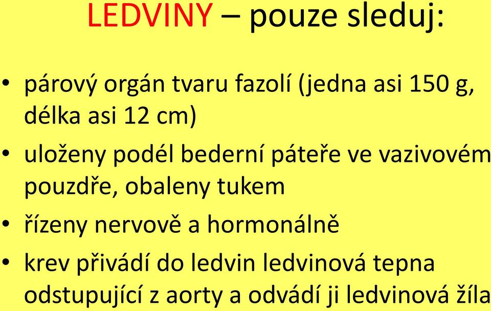 pouzdře, obaleny tukem řízeny nervově a hormonálně krev přivádí