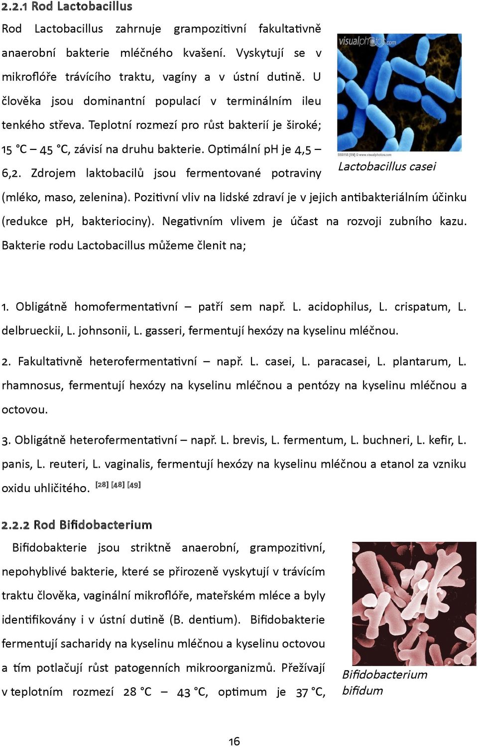 Zdrojem laktobacilů jsou fermentované potraviny Lactobacillus casei (mléko, maso, zelenina). Pozitivní vliv na lidské zdraví je v jejich antibakteriálním účinku (redukce ph, bakteriociny).