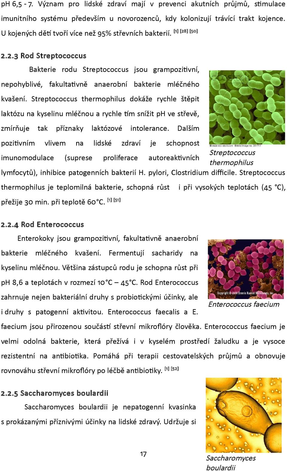 Streptococcus thermophilus dokáže rychle štěpit laktózu na kyselinu mléčnou a rychle tím snížit ph ve střevě, zmírňuje tak příznaky laktózové intolerance.