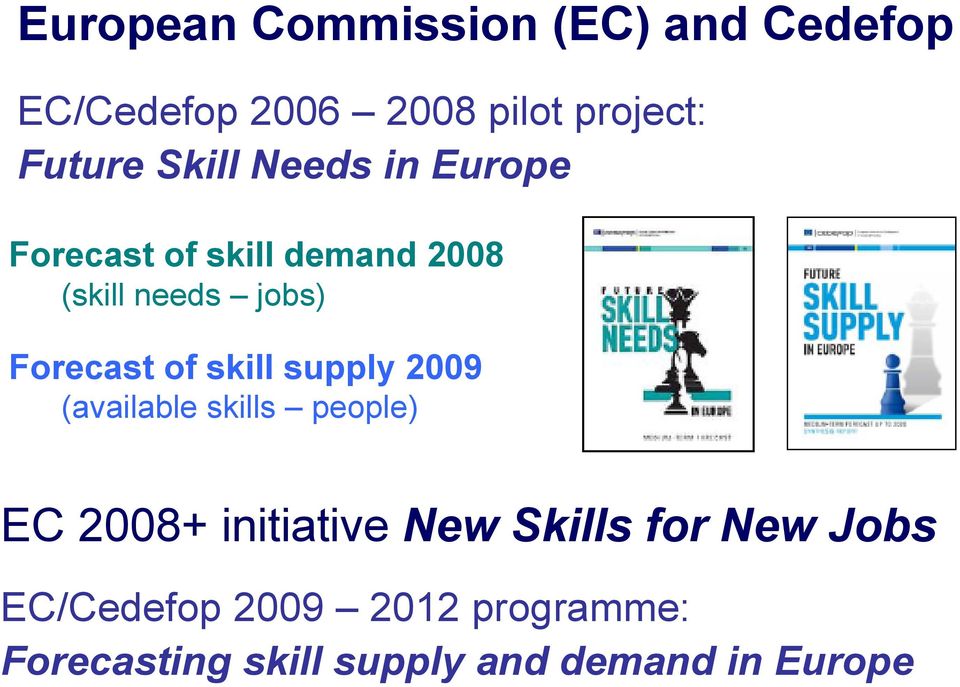 of skill supply 2009 (available skills people) EC 2008+ initiative New Skills for