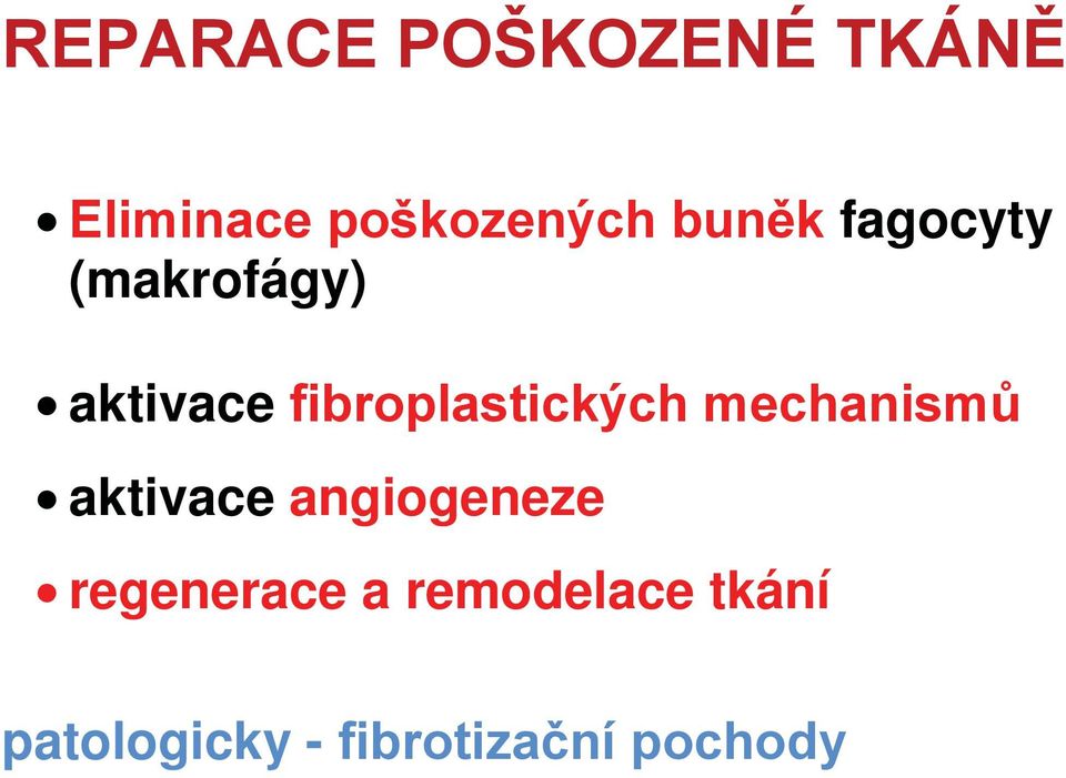 angiogeneze regenerace