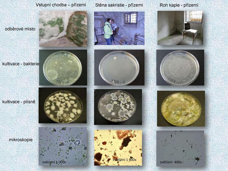 kultivace - bakterie kultivace - plísně