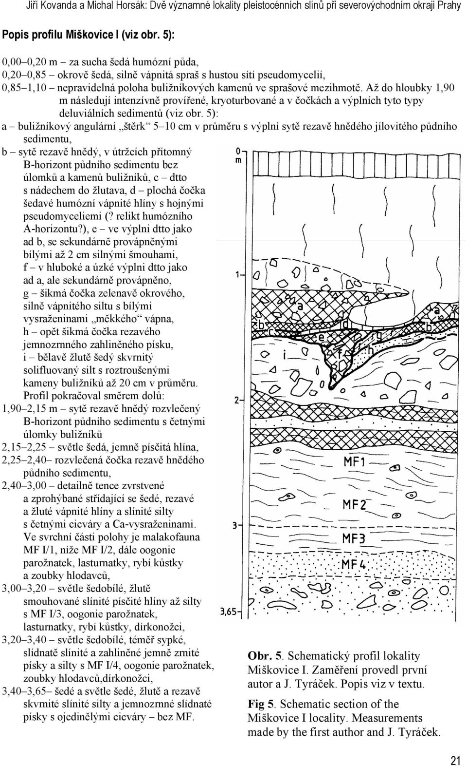 Až do hloubky 1,90 m následují intenzívně provířené, kryoturbované a v čočkách a výplních tyto typy deluviálních sedimentů (viz obr.