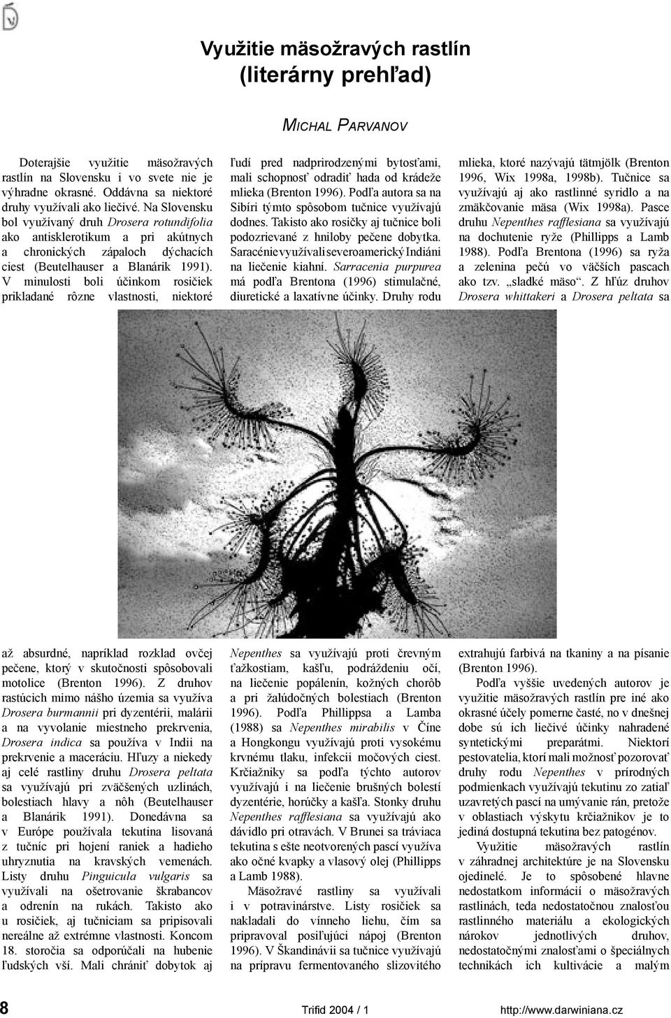 Na Slovensku bol využívaný druh Drosera rotundifolia ako antisklerotikum a pri akútnych a chronických zápaloch dýchacích ciest (Beutelhauser a Blanárik 1991).
