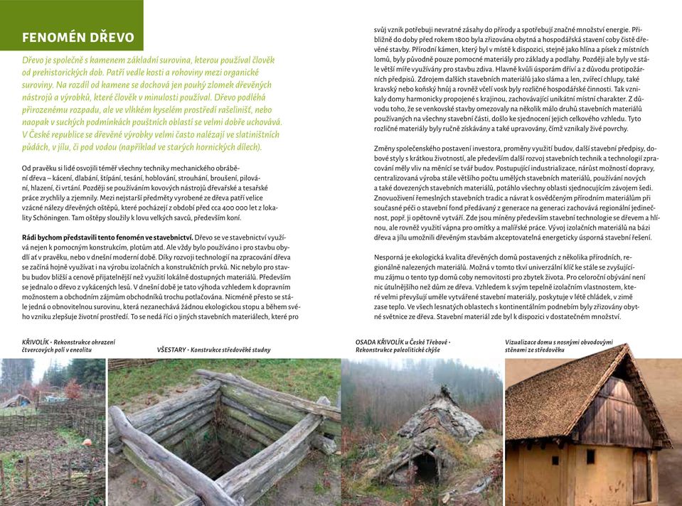 Dřevo podléhá přirozenému rozpadu, ale ve vlhkém kyselém prostředí rašelinišť, nebo naopak v suchých podmínkách pouštních oblastí se velmi dobře uchovává.