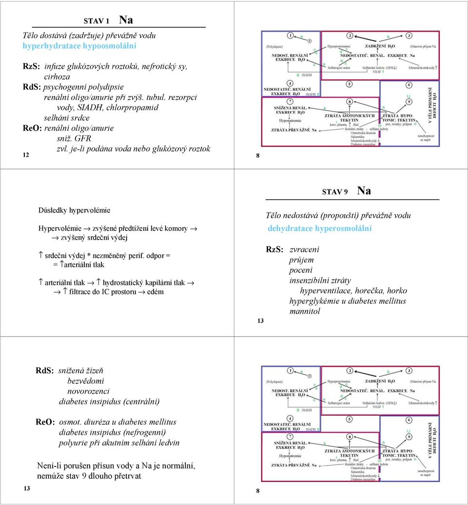 je-li podána voda nebo glukózový roztok 12 8 STAV 9 Důsledky hypervolémie Hypervolémie zvýšené předtížení levé komory zvýšený srdeční výdej srdeční výdej * nezměněný perif.