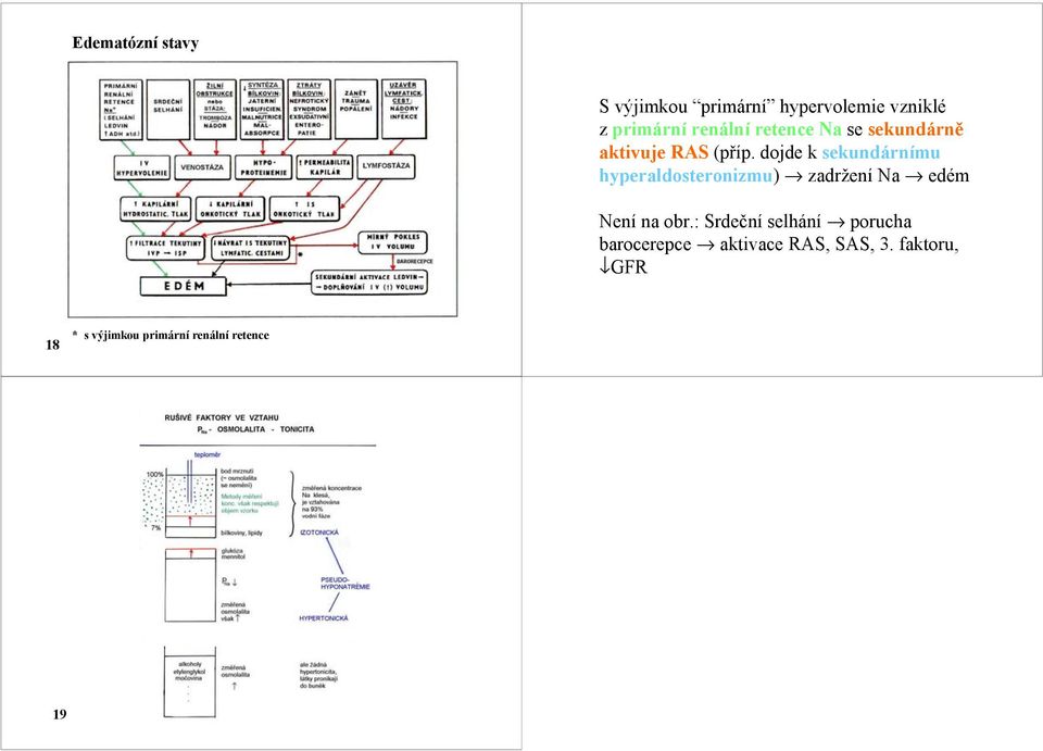 dojde k sekundárnímu hyperaldosteronizmu) zadržení edém Není na obr.