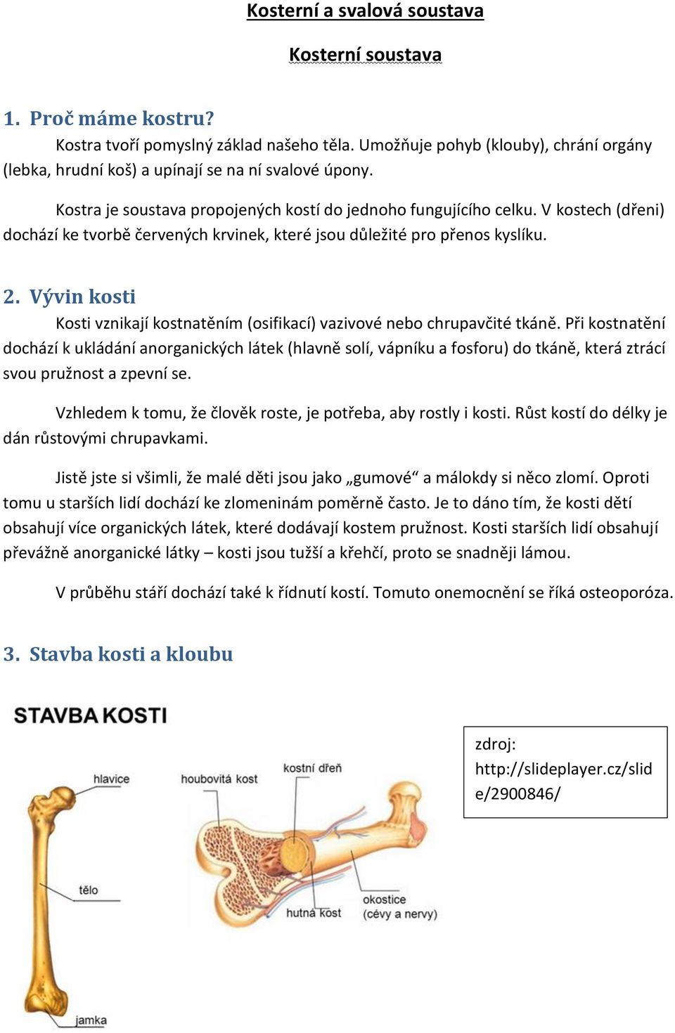 V kostech (dřeni) dochází ke tvorbě červených krvinek, které jsou důležité pro přenos kyslíku. 2. Vývin kosti Kosti vznikají kostnatěním (osifikací) vazivové nebo chrupavčité tkáně.