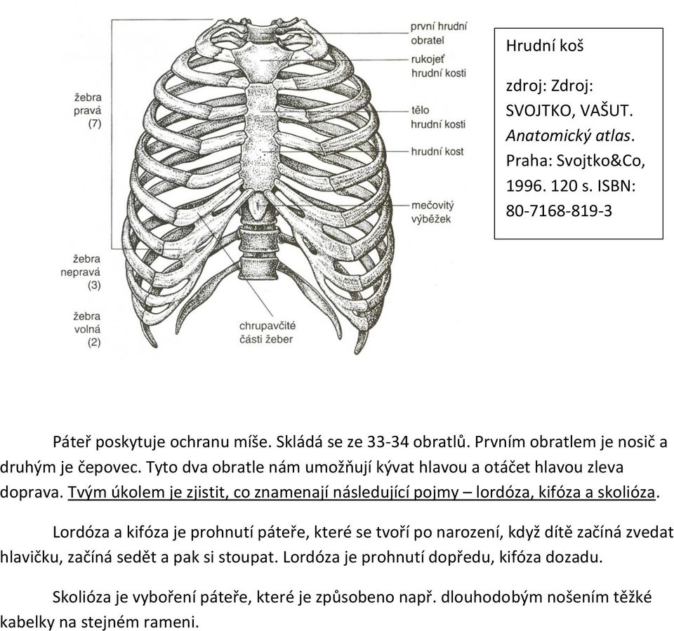 Tvým úkolem je zjistit, co znamenají následující pojmy lordóza, kifóza a skolióza.