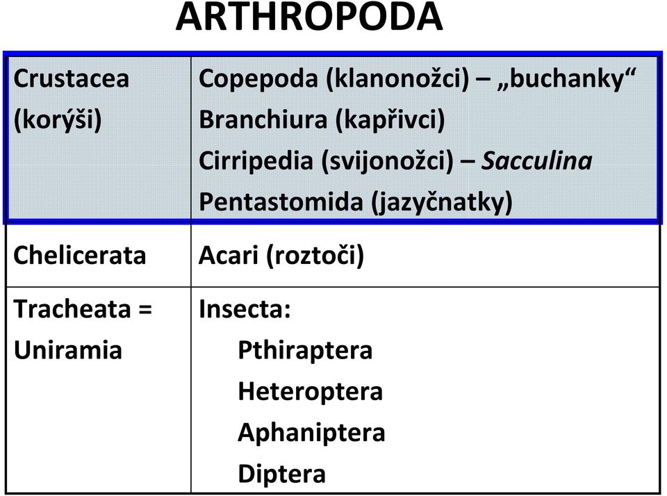 (kapřivci) Cirripedia (svijonožci) Sacculina Pentastomida
