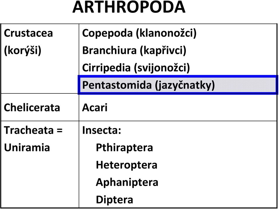 Cirripedia (svijonožci) Pentastomida (jazyčnatky)