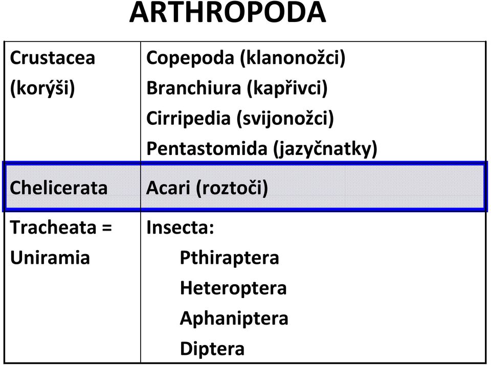Cirripedia (svijonožci) Pentastomida (jazyčnatky) Acari