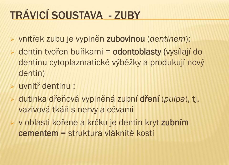 dentin) uvnitř dentinu : dutinka dřeňová vyplněná zubní dření (pulpa), tj.