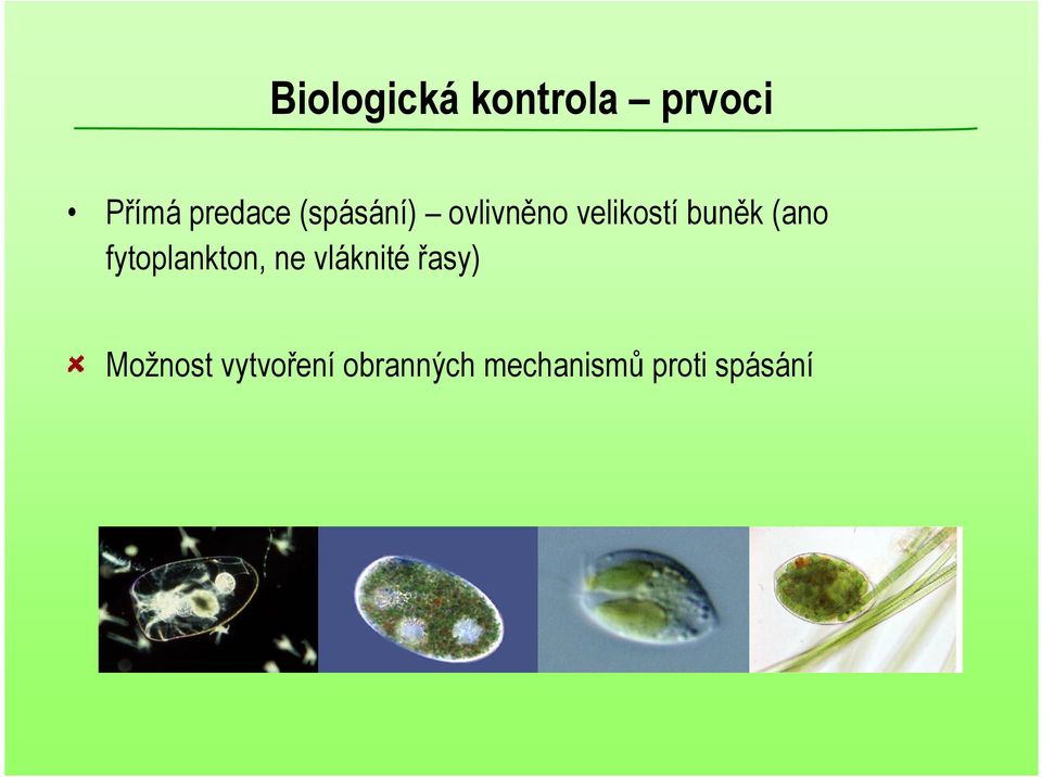 fytoplankton, ne vláknité řasy) Možnost