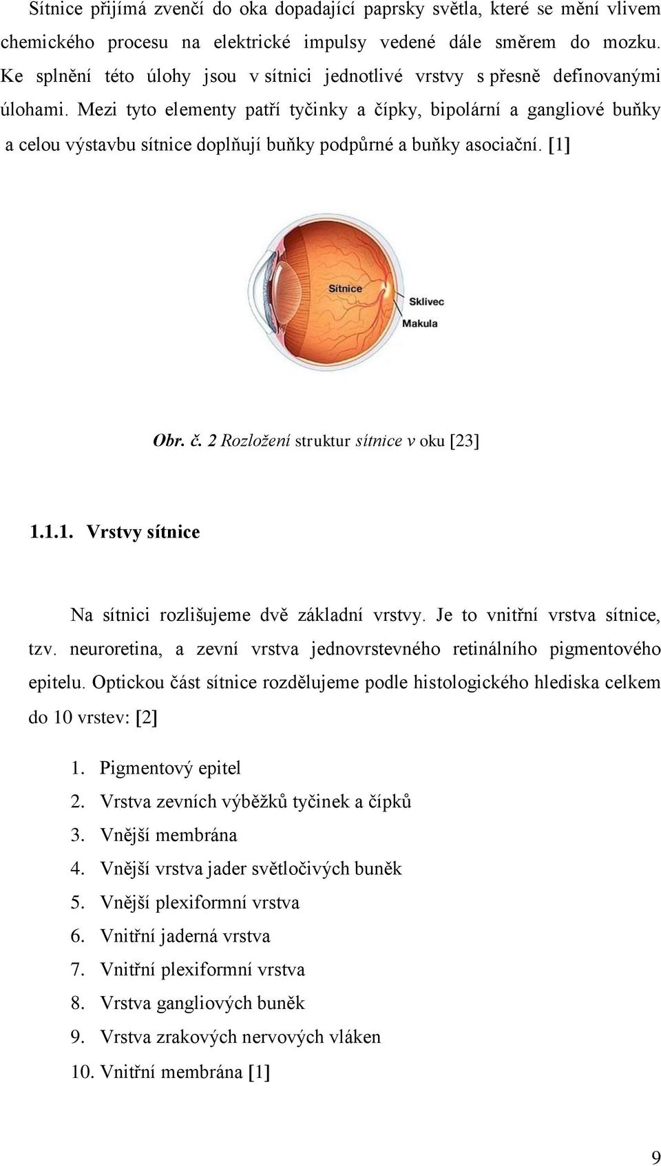 Mezi tyto elementy patří tyčinky a čípky, bipolární a gangliové buňky a celou výstavbu sítnice doplňují buňky podpůrné a buňky asociační. 1 Obr. č. 2 Rozložení struktur sítnice v oku 23 1.1.1. Vrstvy sítnice Na sítnici rozlišujeme dvě základní vrstvy.